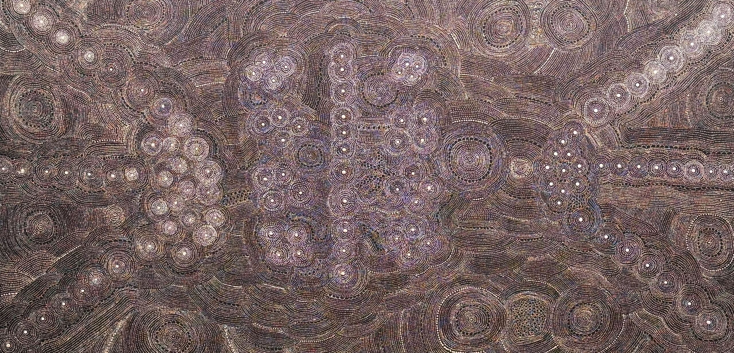 Eva Napaltjarri Nelson Budgerigar Dreaming